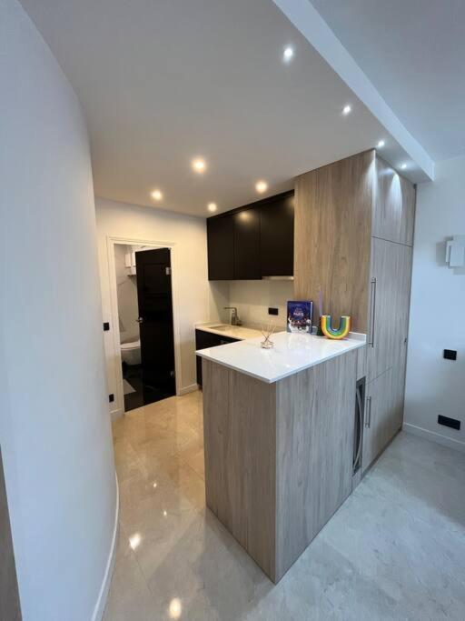 Appartement Studio Champs Elysees *